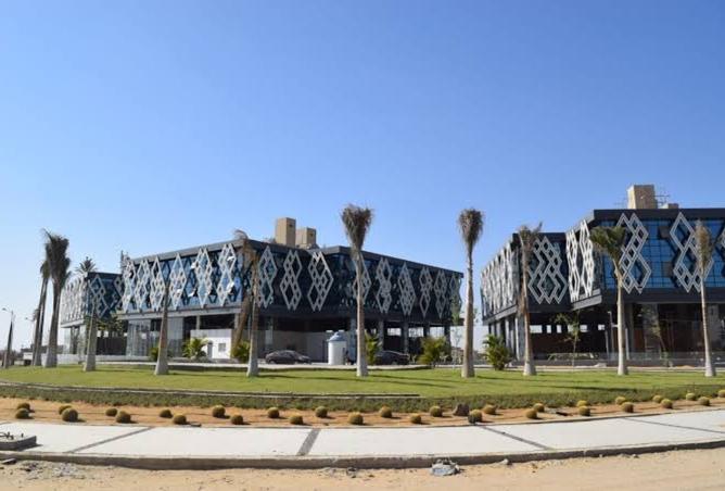 109355865 - صورة العقار 3
