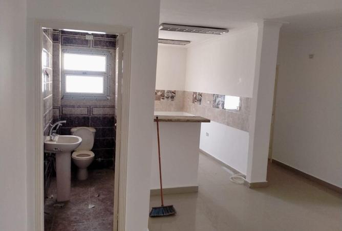 73772337 - Property Image 3