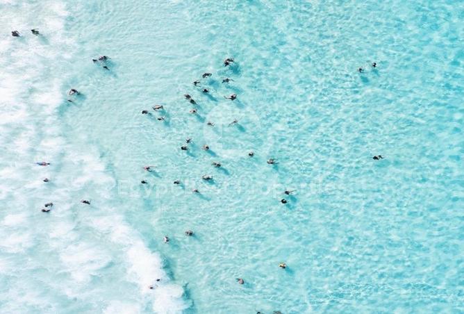 70755888 - صورة العقار 2