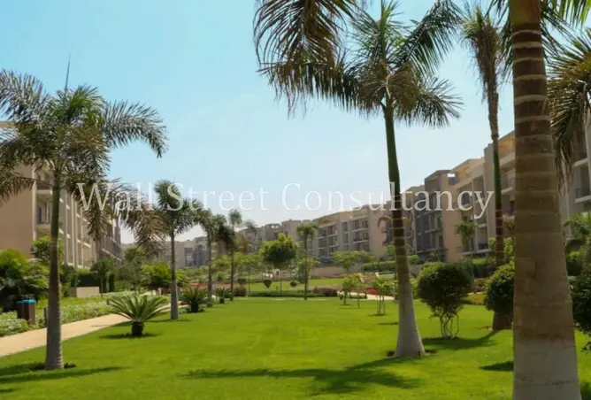 118281946 - صورة العقار 3