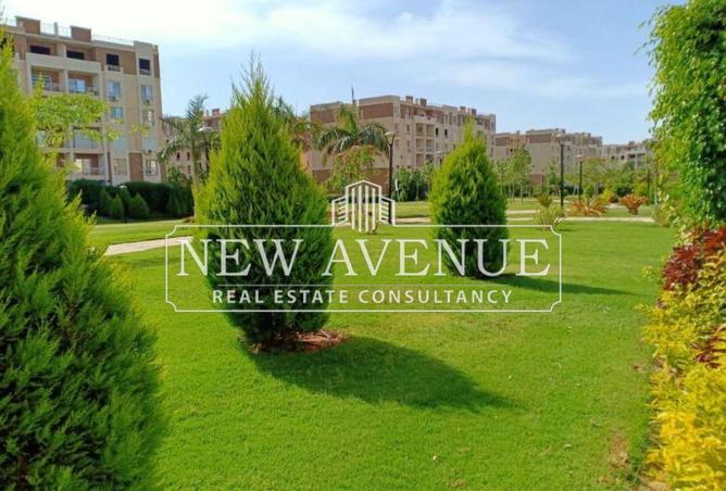 8667341 - الصورة الرئيسية للعقار