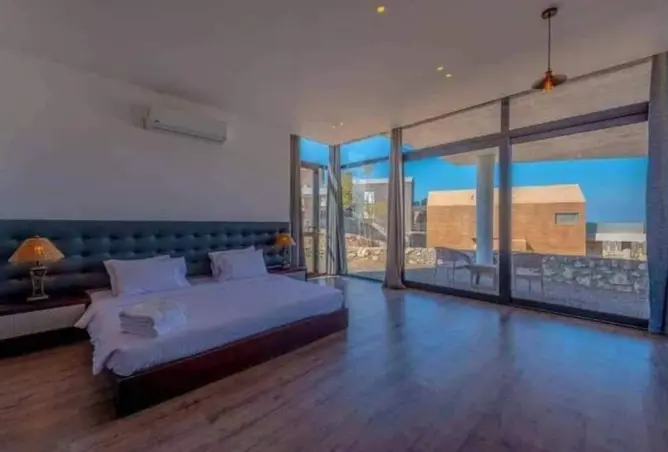 115178885 - Property Image 3