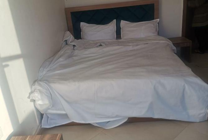 55756319 - Property Image 2