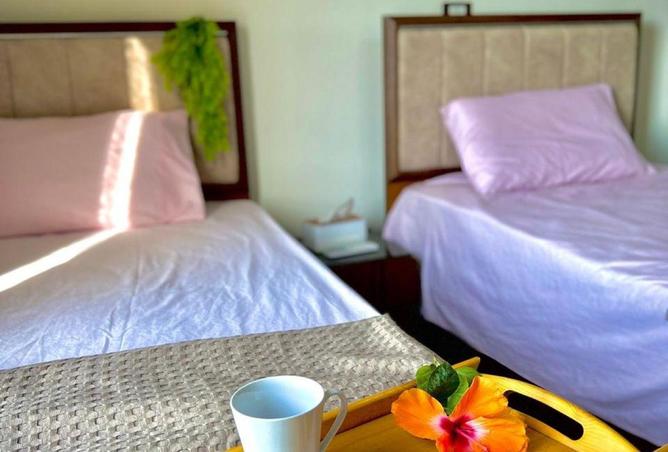 58007612 - Property Image 3