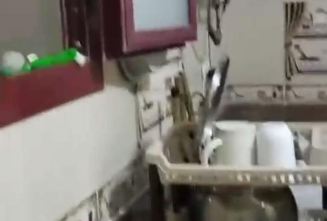 96313125 - صورة العقار 3