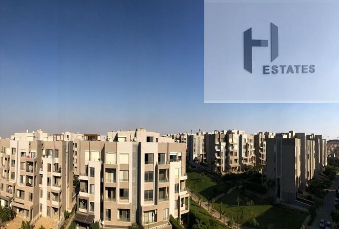 68519804 - Property Image 2