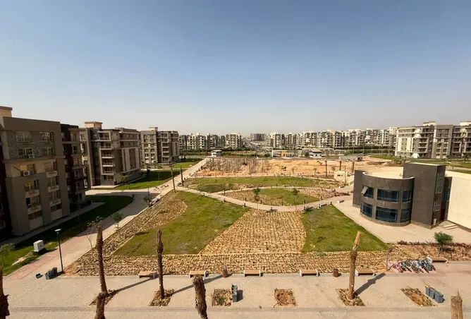 118275852 - صورة العقار 3