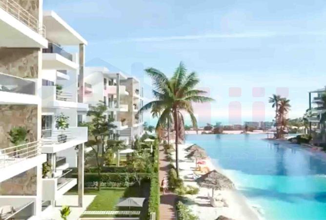 81313590 - Property Image 2