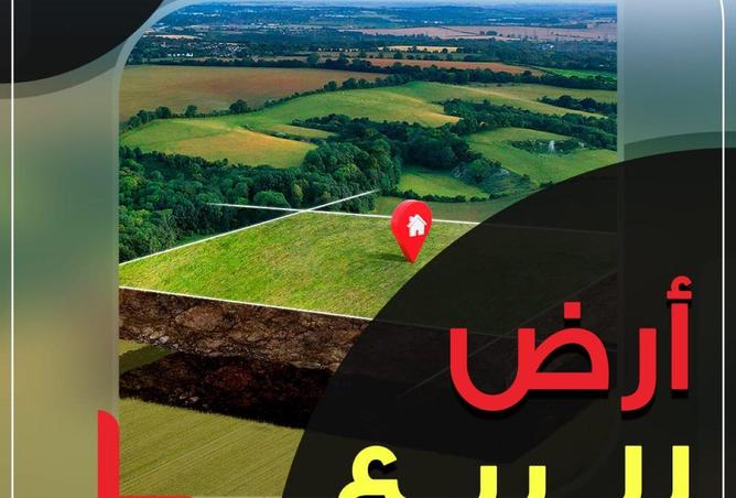 8629814 - الصورة الرئيسية للعقار