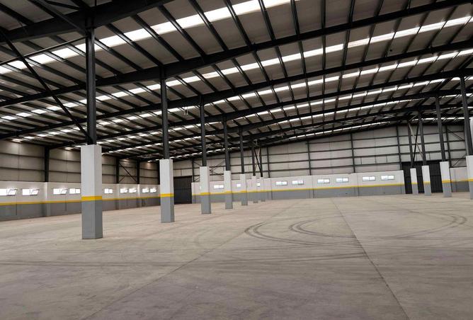 57746801 - صورة العقار 3