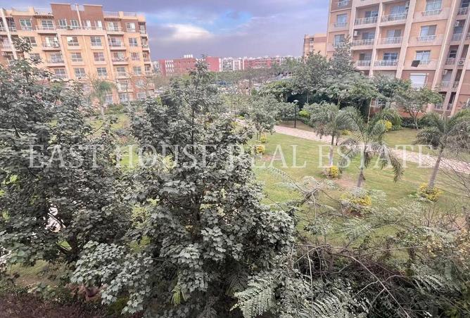 56003086 - الصورة الرئيسية للعقار