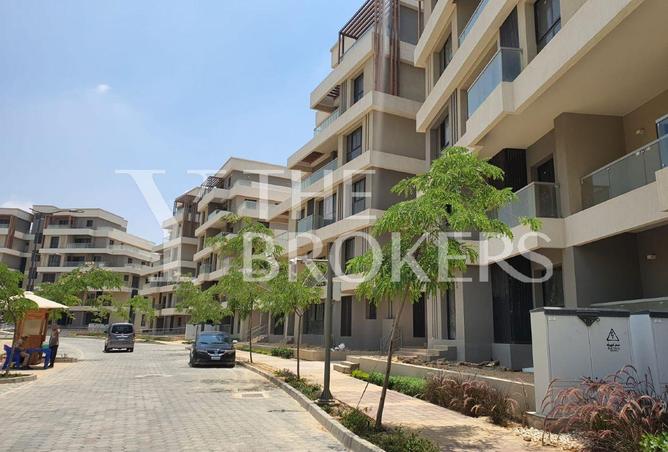 8590888 - Property Image 3