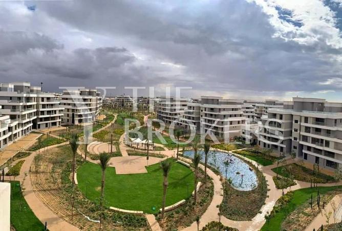 8590888 - Property Image 2