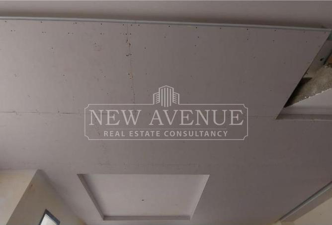 103762805 - Property Image 3