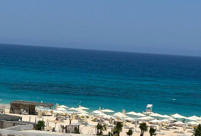 80781862 - صورة العقار 3