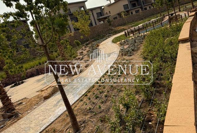 57493548 - صورة العقار 3