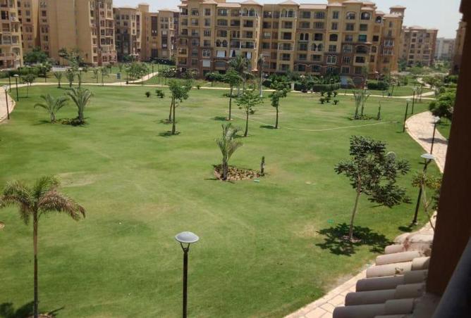 55004654 - الصورة الرئيسية للعقار