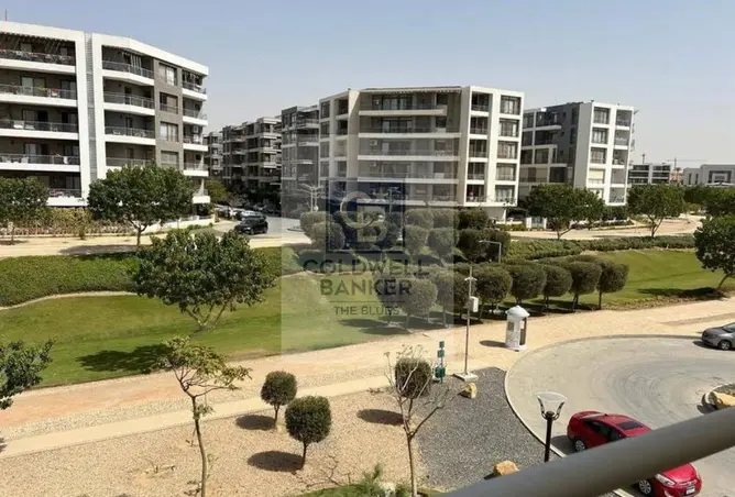 115171412 - Property Image 2