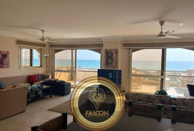 67995528 - صورة العقار 2