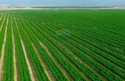 قطعة أرض - استوديو للبيع في طريق القاهرة الأسكندرية الصحراوى - كينج مريوط - حي العامرية - الاسكندرية
