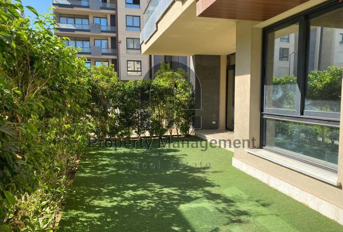 56258950 - Property Image 3