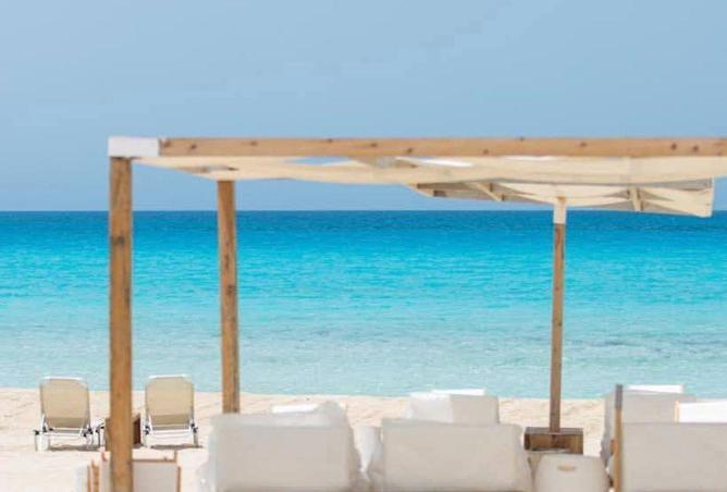 55002899 - صورة العقار 2