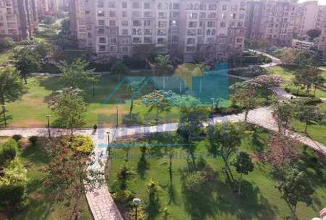 8530195 - Property Image 3