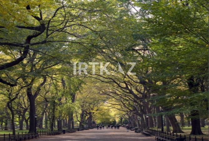 52460956 - Property Image 3