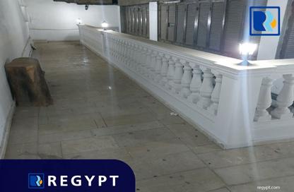 Office Space - Studio - 1 Bathroom for rent in Street 256 - Maadi - Hay El Maadi - Cairo