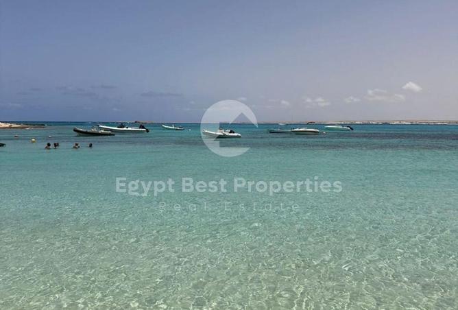 82103490 - صورة العقار 2