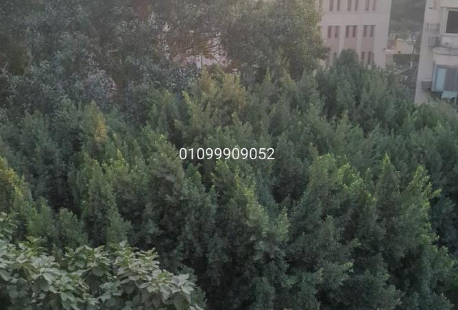 64141336 - الصورة الرئيسية للعقار