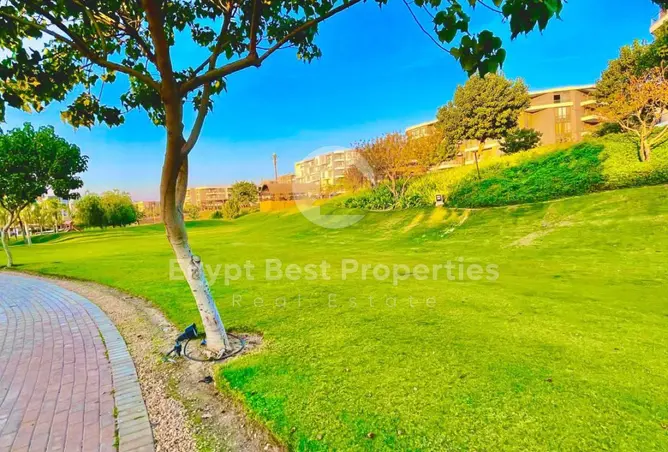 114615066 - صورة العقار 2