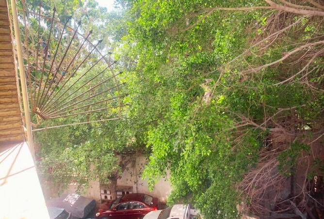 62405352 - Property Image 3