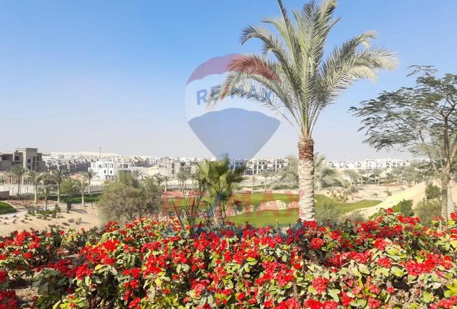 8595527 - صورة العقار 2