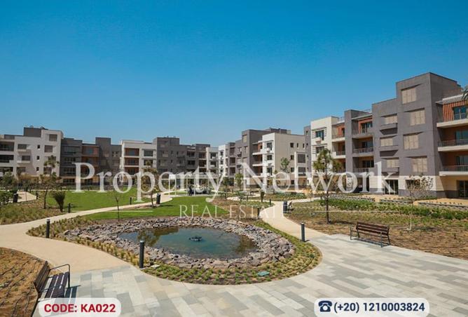 56244956 - صورة العقار 3