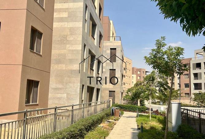 54745566 - صورة العقار 3