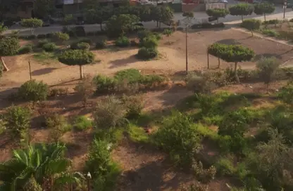 شقة - 3 غرف نوم - 2 حمامات للبيع في شارع افريقيا - امتداد مصطفي النحاس - المنطقة التاسعة - مدينة نصر - القاهرة