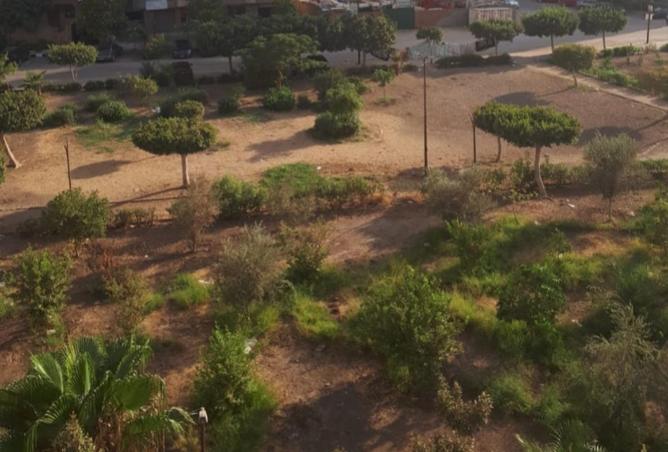 8533244 - الصورة الرئيسية للعقار