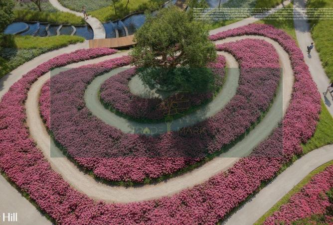 8563520 - صورة العقار 3