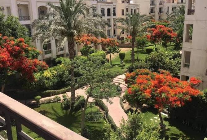 65407101 - الصورة الرئيسية للعقار