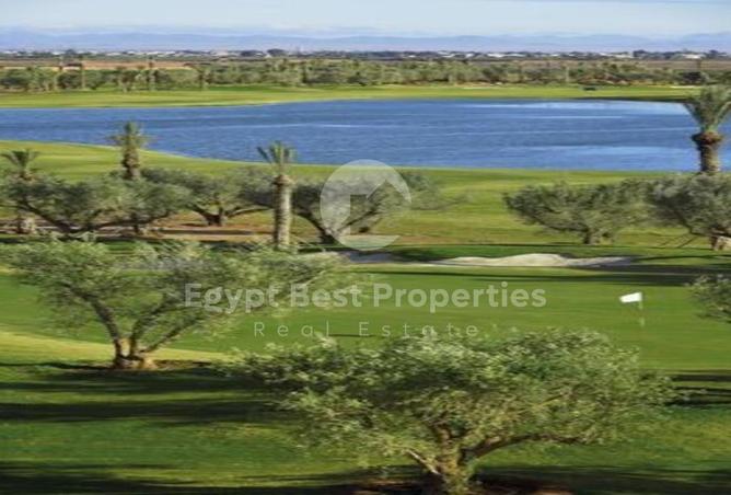 53217849 - Property Image 2