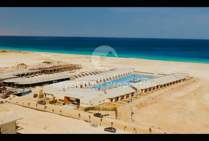 8686763 - صورة العقار 3