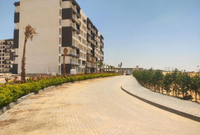 63135531 - Property Image 2