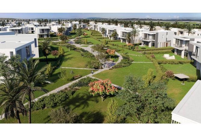 67730099 - Property Image 3