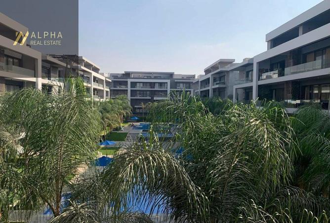 8629232 - Property Image 3