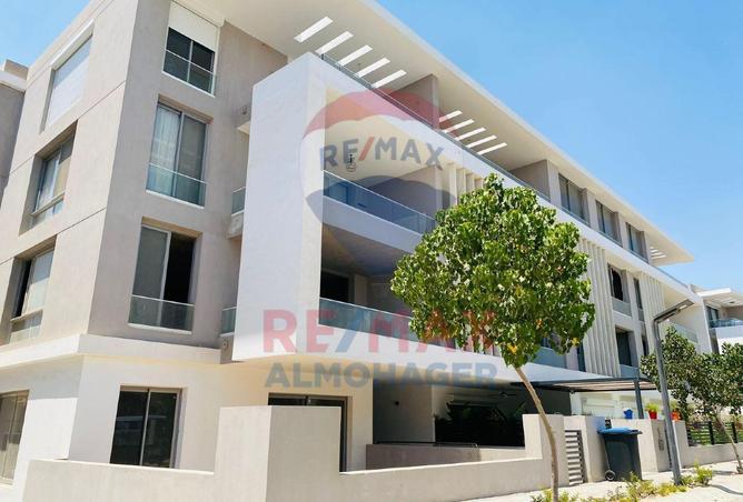 8619644 - Property Image 3