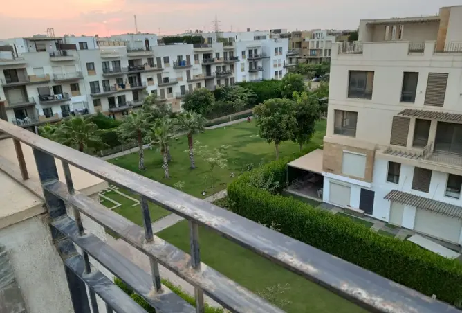 116232121 - Property Image 3