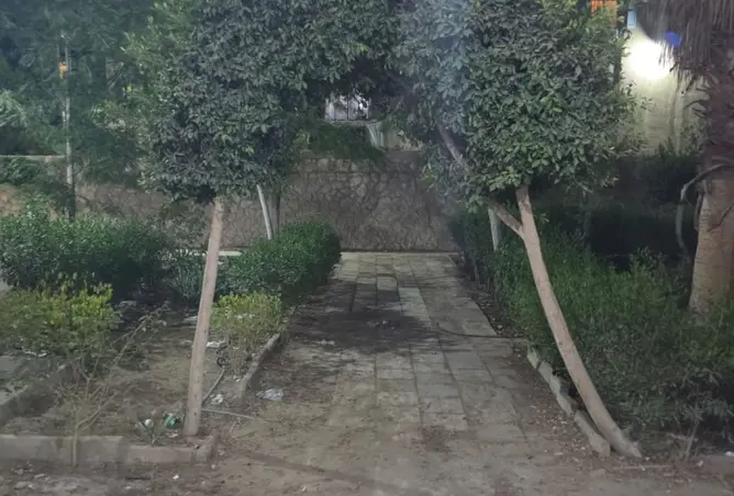 113545181 - صورة العقار 2