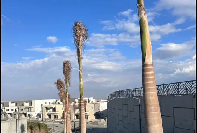 109641890 - صورة العقار 2