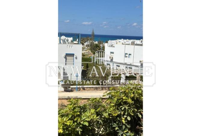 8717854 - Property Image 2